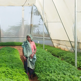 Impact Image 1